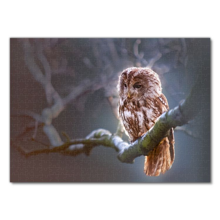 Produktbild: Lais Puzzle Eule 500 Teile