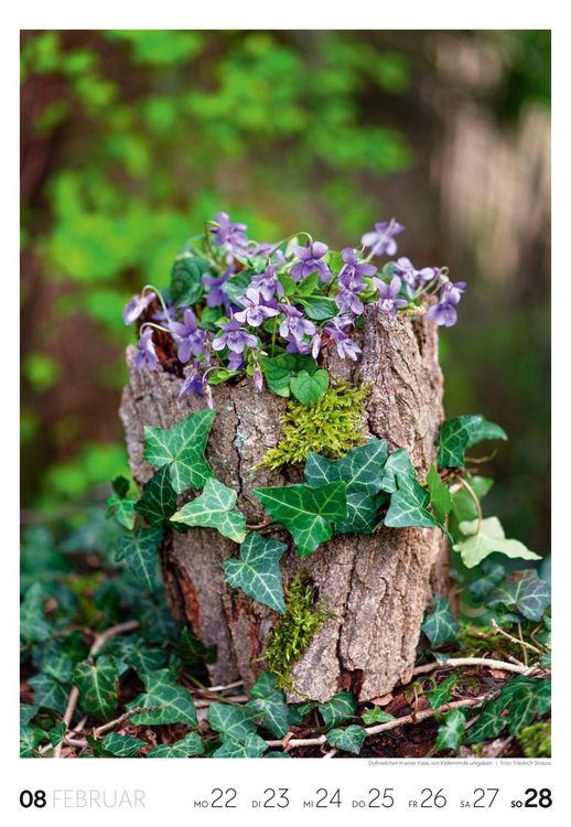 Produktbild: Garten Wochenkalender 2027