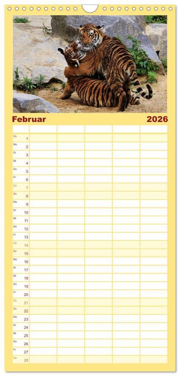 Produktbild: Familienplaner 2026 - Tiger mit 5 Spalten (Wandkalender, 21 x 45 cm) CALVENDO