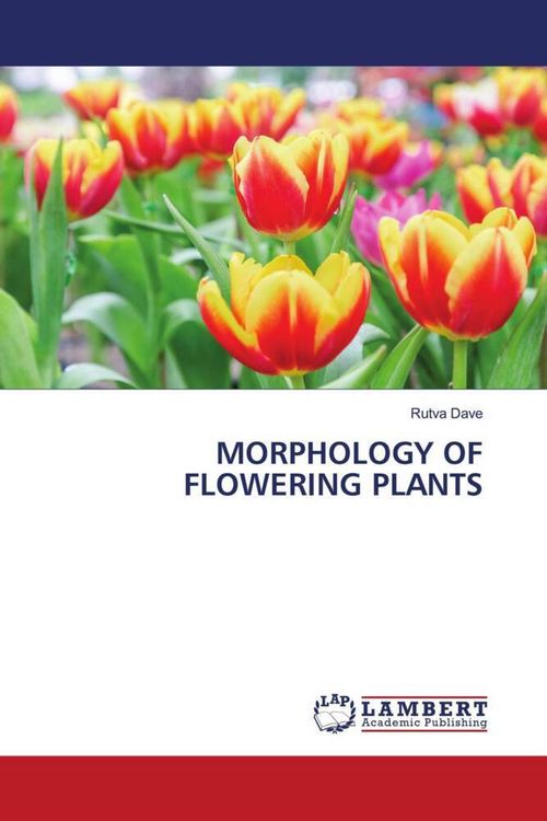 Produktbild: Morphology Of Flowering Plants