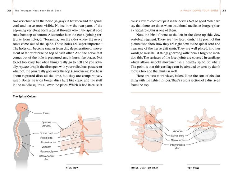 Produktbild: The Younger Next Year Back Book