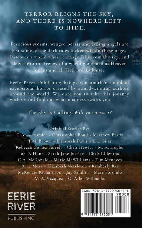 Produktbild: It Calls From the Sky