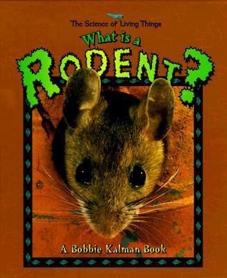 Produktbild: What Is a Rodent?