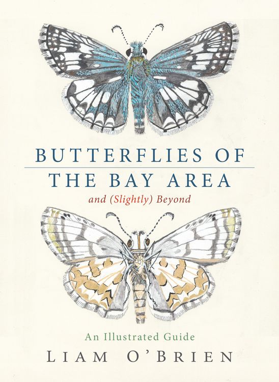 Produktbild: Butterflies of the Bay Area and (Slightly) Beyond