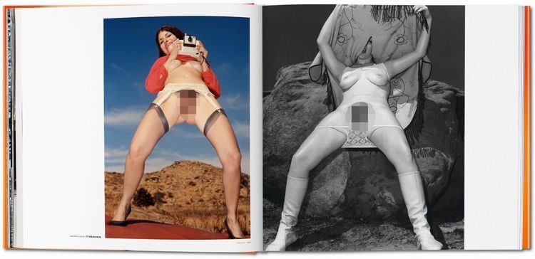 Produktbild: The Big Book of Pussy