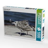 CALVENDO Puzzle 'Wilde Ostsee' 1000 Teile – Foto-Puzzle 64x48 Cm Von Thomas Deter