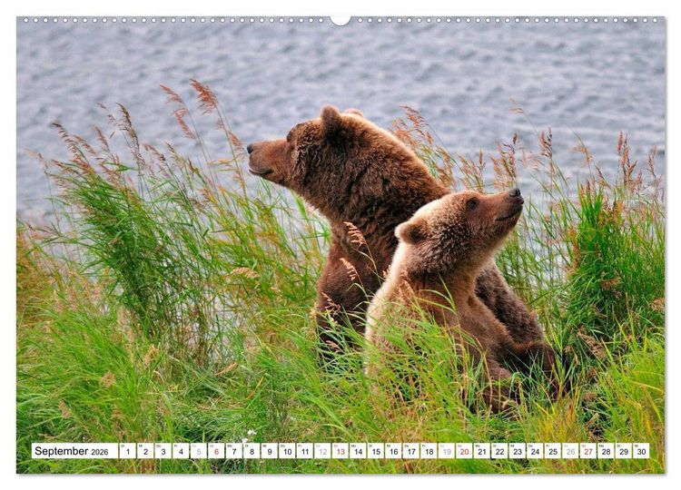 Produktbild: Alaska - Lockruf der Wildnis (hochwertiger Premium Wandkalender 2026 DIN A2 quer), Kunstdruck in Hochglanz