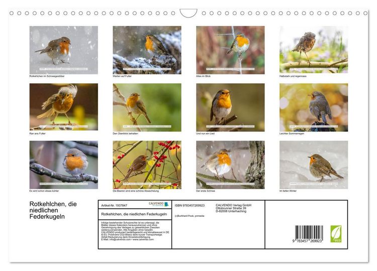 Produktbild: Rotkehlchen, die niedlichen Federkugeln (Wandkalender 2026 DIN A3 quer), CALVENDO Monatskalender