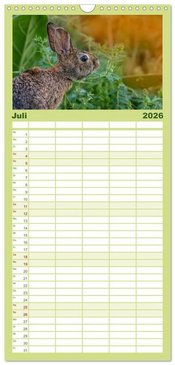 Produktbild: Familienplaner 2026 - Feldhasen und Kaninchen mit 5 Spalten (Wandkalender, 21 x 45 cm) CALVENDO