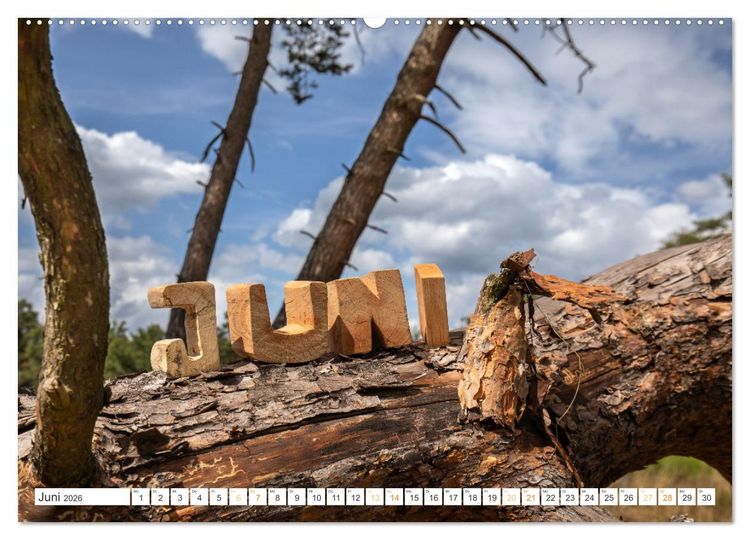 Produktbild: Holz, ein fantastischer Rohstoff. (Wandkalender 2026 DIN A2 quer), CALVENDO Monatskalender