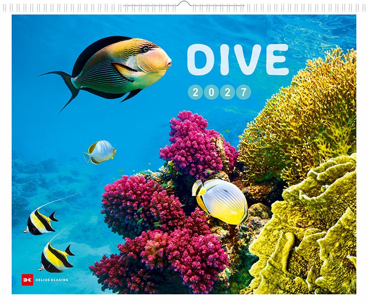 Produktbild: Dive 2027