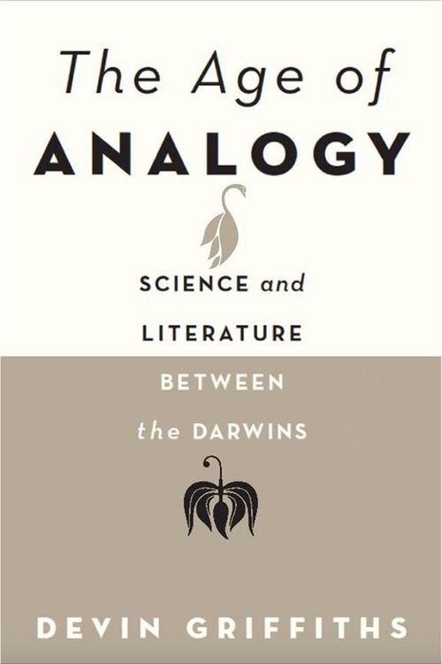 Produktbild: Age of Analogy