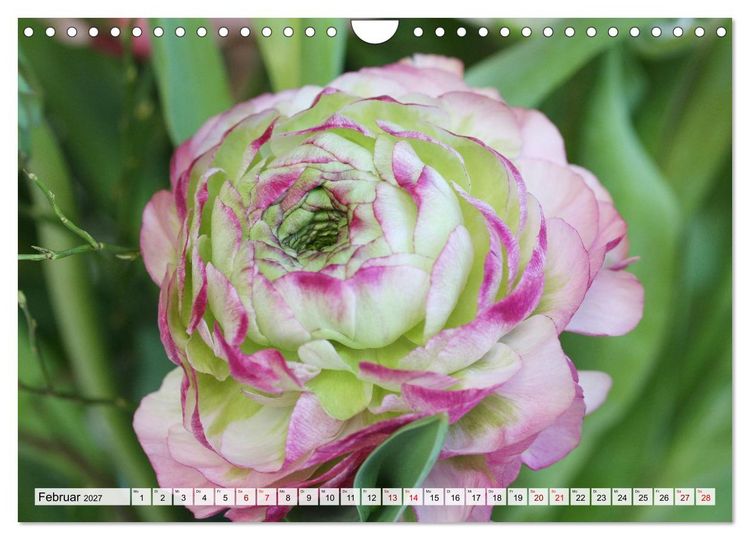 Produktbild: Blumen, bunt gemischt (Wandkalender 2027 DIN A4 quer), CALVENDO Monatskalender