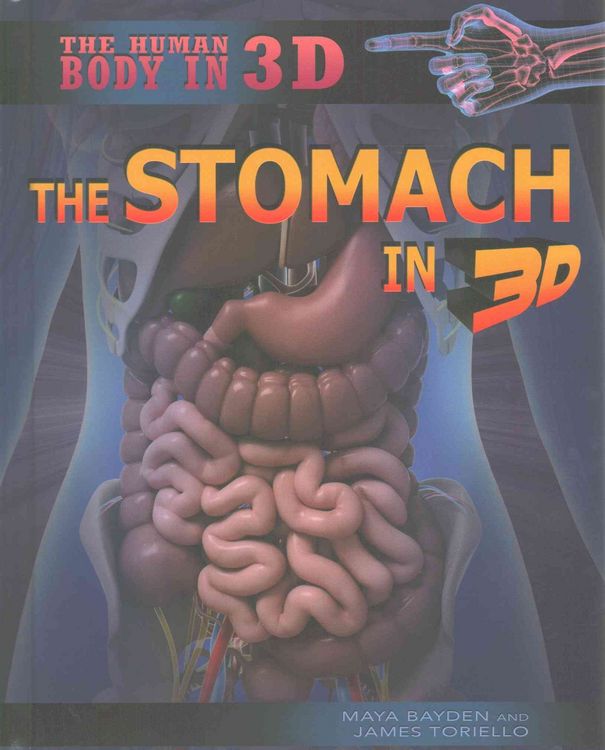 Produktbild: Stomach in 3d