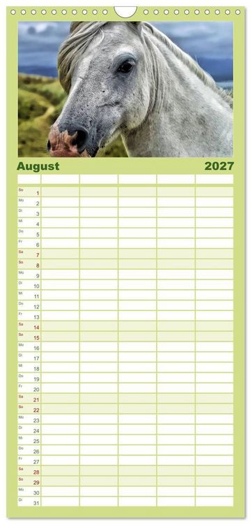 Produktbild: Familienplaner 2027 - Wilde Pferde &bull; Mustangs in USA mit 5 Spalten (Wandkalender, 21 x 45 cm) CALVENDO