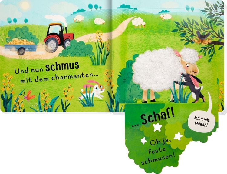 Produktbild: Wer kitzelt das Schwein? (F&uuml;hlen&begreifen)