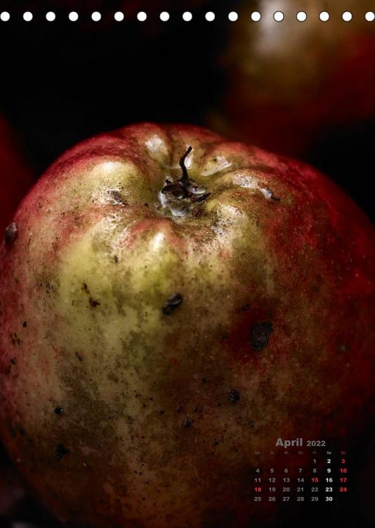 Produktbild: &auml;pfel (Tischkalender 2022 DIN A5 hoch)