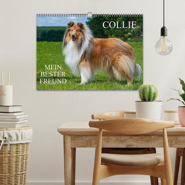 Produktbild: Collie - Mein bester Freund (Wandkalender 2026 DIN A3 quer), CALVENDO Monatskalender