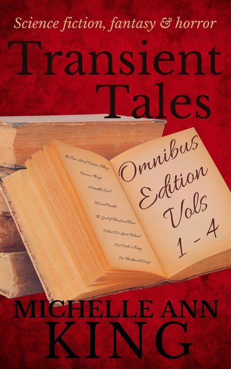 Produktbild: Transient Tales Omnibus 1