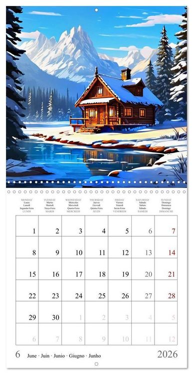 Produktbild: Bilkova, H: Magic Forest - Vacation (Wall Calendar 2026 12 &times;