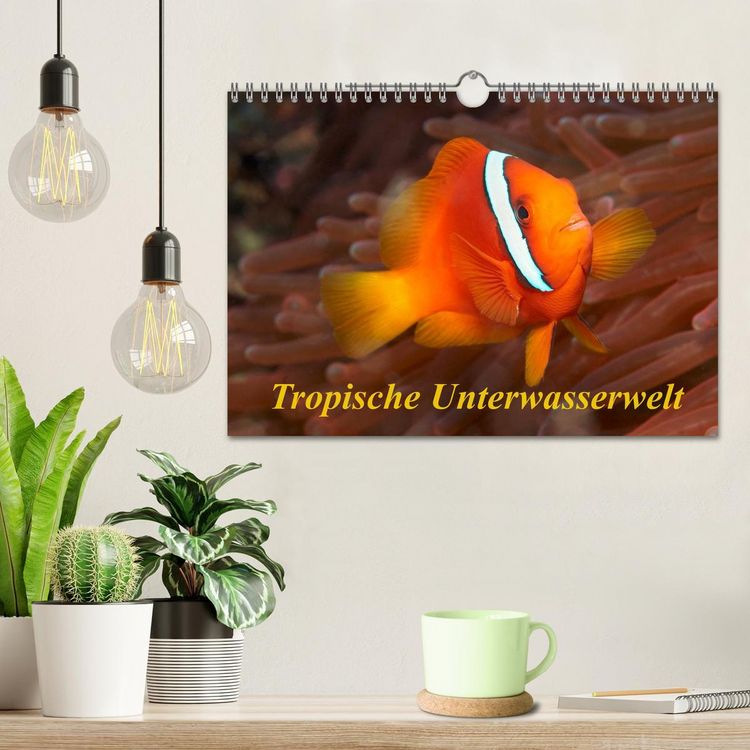 Produktbild: Tropische Unterwasserwelt (Wandkalender 2026 DIN A4 quer), CALVENDO Monatskalender