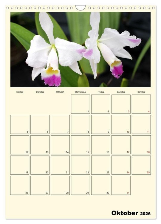 Produktbild: Orchideentr&auml;ume (Wandkalender 2026 DIN A3 hoch), CALVENDO Monatskalender