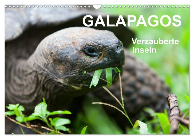 Produktbild: Galapagos. Verzauberte Inseln (Wandkalender 2026 DIN A3 quer), CALVENDO Monatskalender