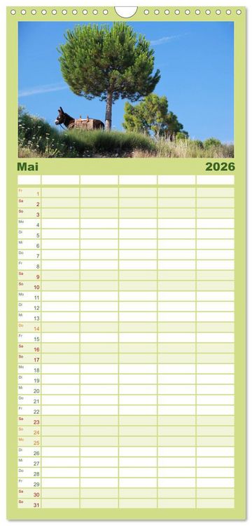 Produktbild: Familienplaner 2026 - Esel - liebenswerte Langohren mit 5 Spalten (Wandkalender, 21 x 45 cm) CALVENDO