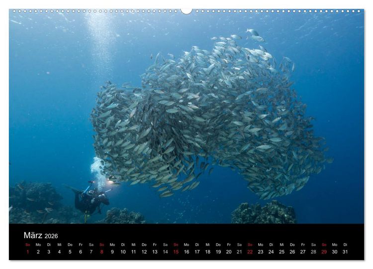 Produktbild: Tanz der Fische (hochwertiger Premium Wandkalender 2026 DIN A2 quer), Kunstdruck in Hochglanz