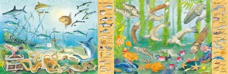 Mein erstes Wimmelbuch: Am Meer