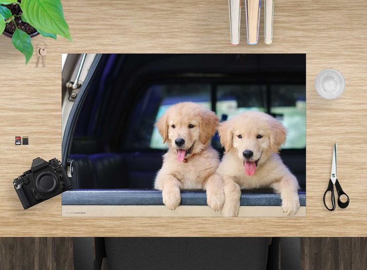 Produktbild: Cover-your-desk Schreibtischunterlage f&uuml;r Kinder und Erwachsene Golden Retriever Welpen, aus hochwertigem Vinyl , 60 x 40 cm