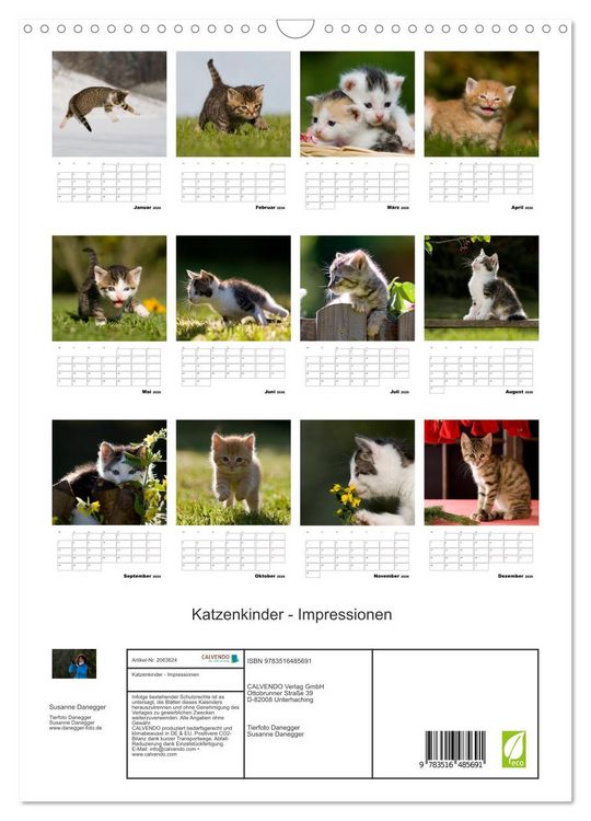 Produktbild: Katzenkinder - Impressionen (Wandkalender 2026 DIN A3 hoch), CALVENDO Monatskalender