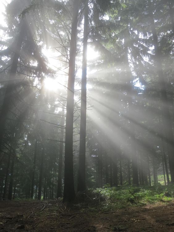 Produktbild: Und sag nicht, dass die Sonne scheint