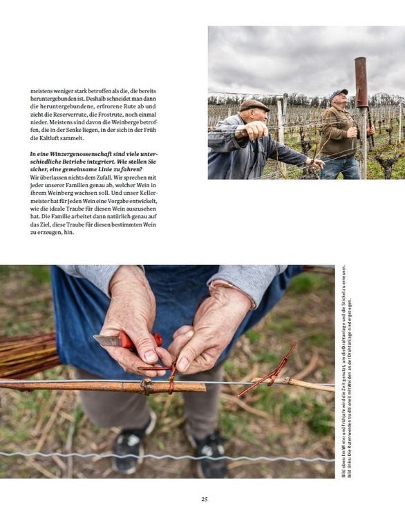 Produktbild: Die Weinmacher
