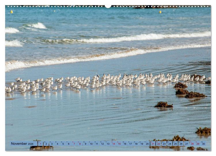 Produktbild: Bretagne und Normandie - Vor der Flut beobachten und entdecken (Wandkalender 2026 DIN A2 quer), CALVENDO Monatskalender