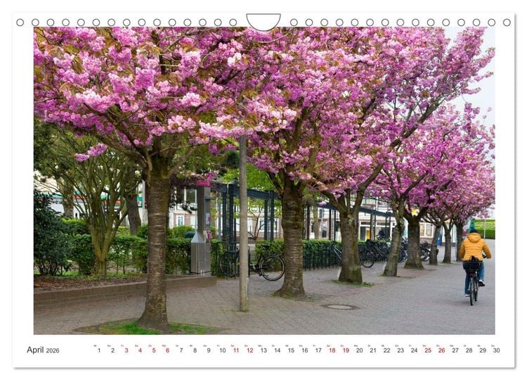 Produktbild: Buntes und bl&uuml;hendes Borkum (Wandkalender 2026 DIN A4 quer), CALVENDO Monatskalender