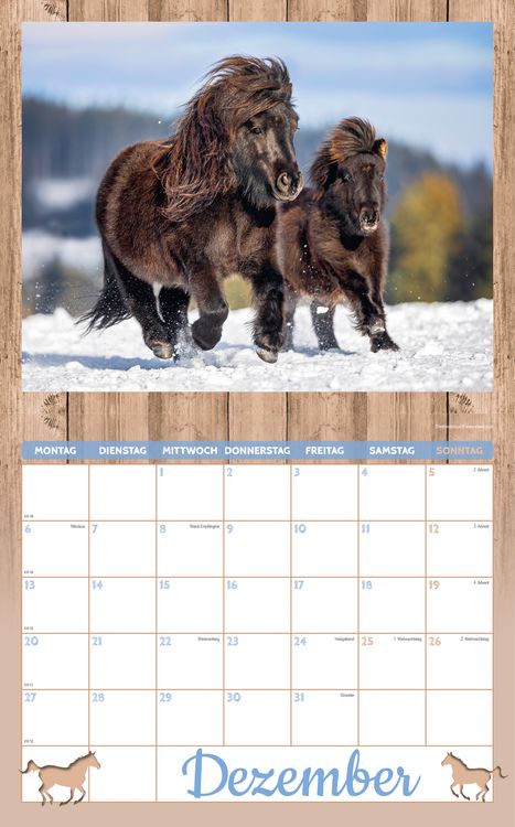 Produktbild: Pferde Kalenderpaket 2027