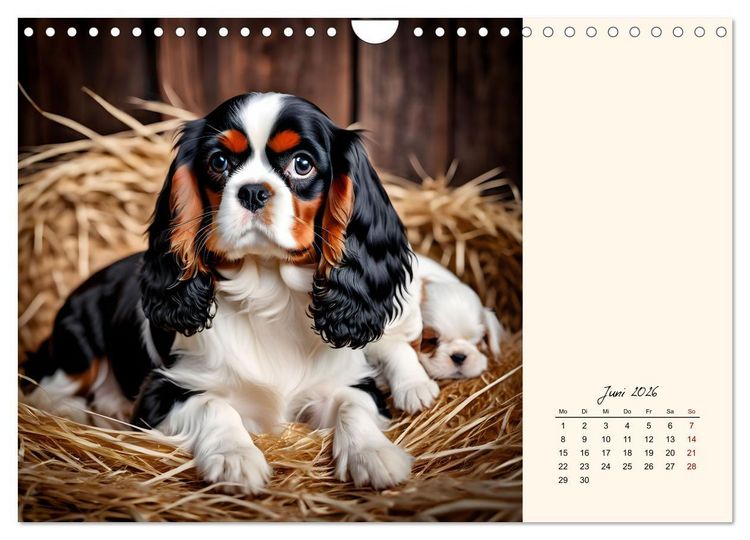 Produktbild: Goldige Kavalier King Charles Spaniels (Wandkalender 2026 DIN A4 quer), CALVENDO Monatskalender