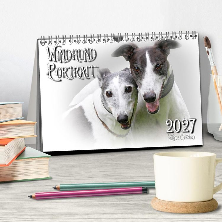 Produktbild: Windhund Portrait 2027 White Edition (Tischkalender 2027 DIN A5 quer), CALVENDO Monatskalender