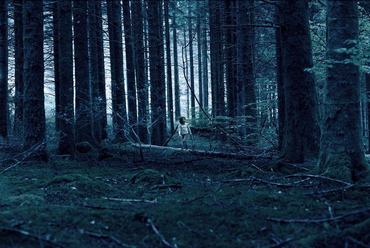 Produktbild: Ogre - Der Fluch