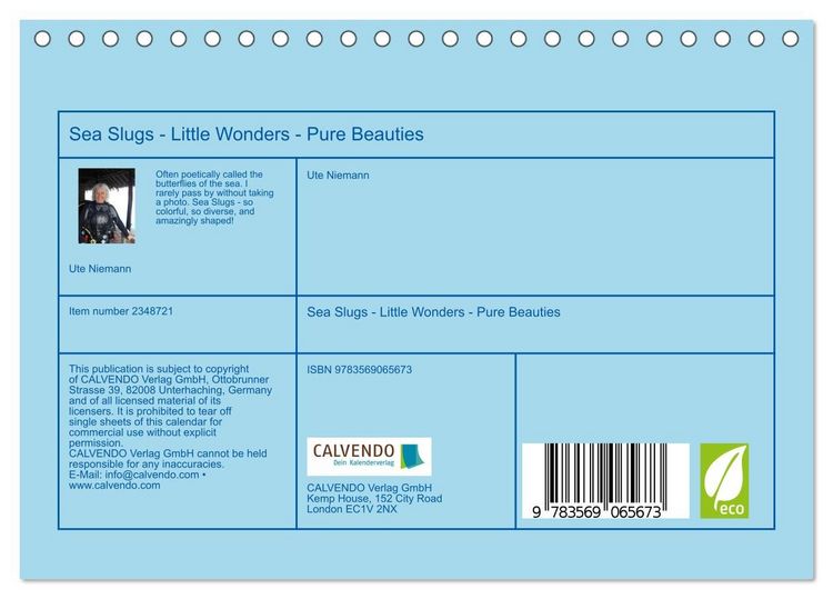 Produktbild: Sea Slugs - Little Wonders - Pure Beauties (Desk Calendar 2027 DIN A5 landscape), CALVENDO 12 Month DeskCalendar