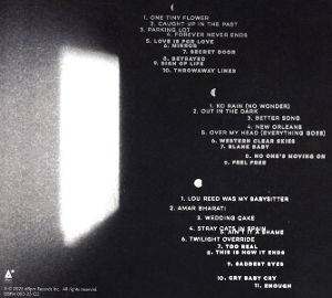 Produktbild: Tweedy, J: Twilight Override