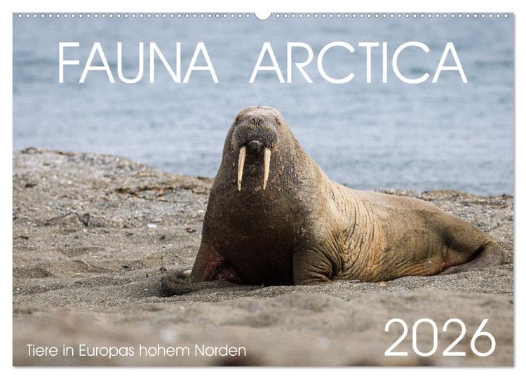 Produktbild: Fauna arctica (Wandkalender 2026 DIN A2 quer), CALVENDO Monatskalender