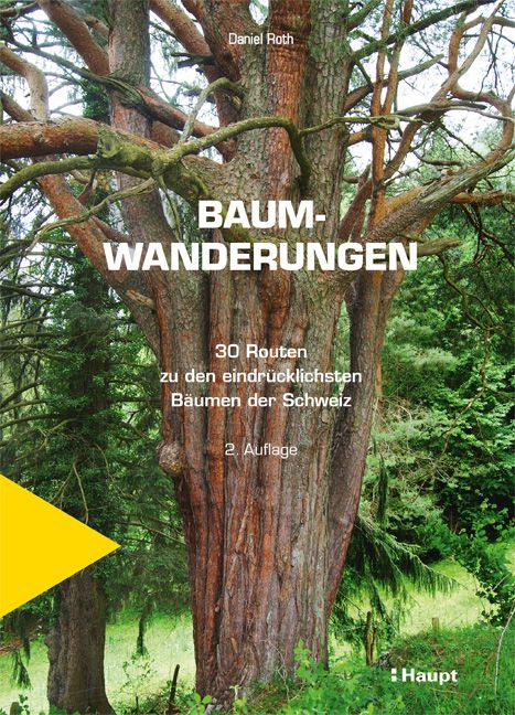 Produktbild: Baumwanderungen