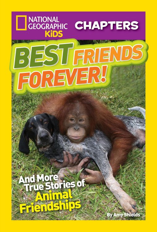 Produktbild: Best Friends Forever!