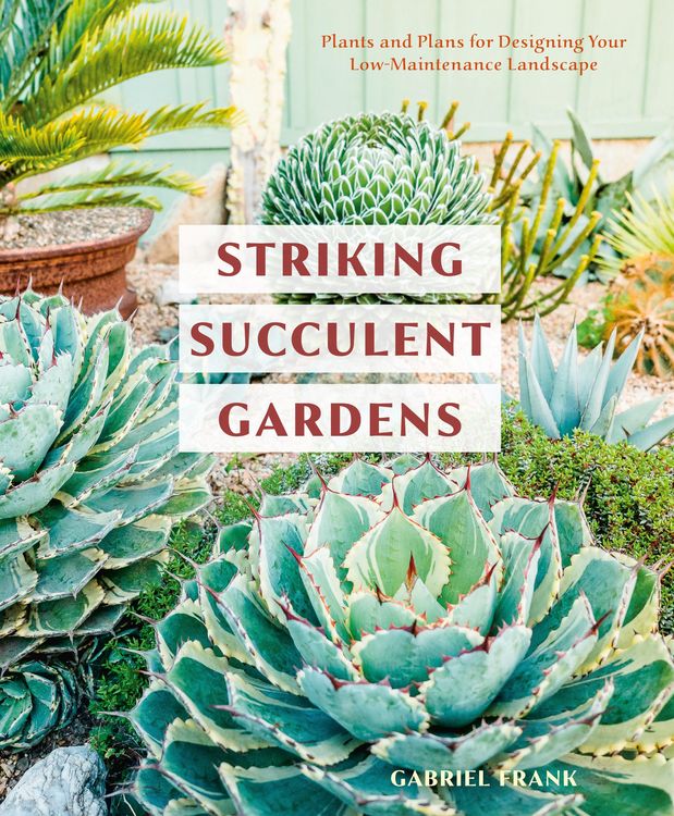 Produktbild: Striking Succulent Gardens