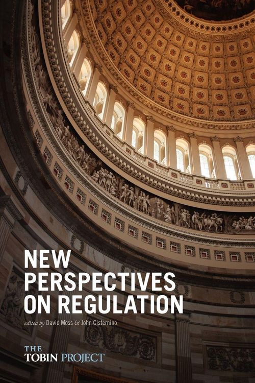 Produktbild: New Perspectives on Regulation