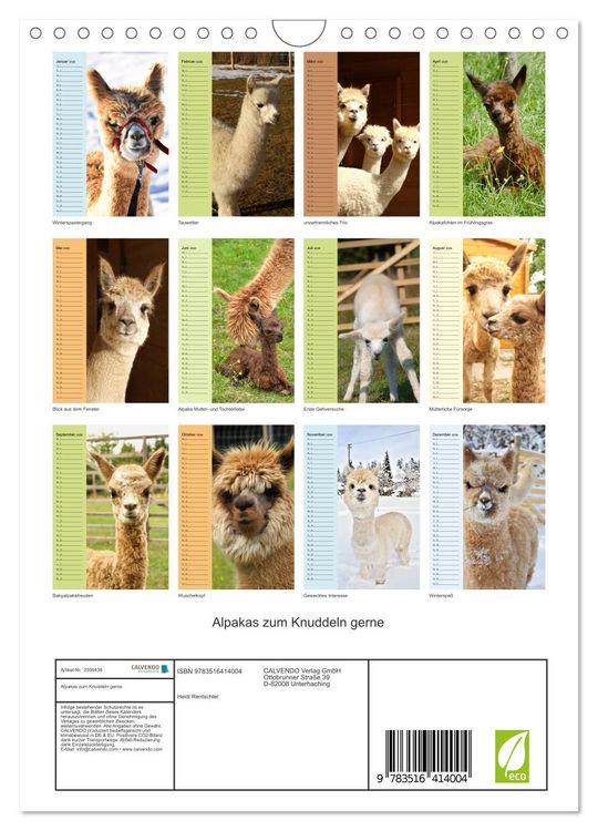 Produktbild: Alpakas zum Knuddeln gerne (Wandkalender 2026 DIN A4 hoch), CALVENDO Monatskalender