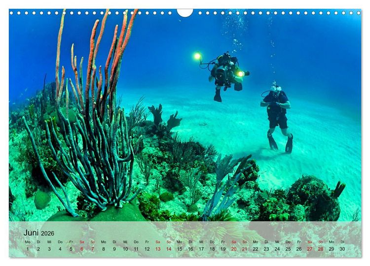 Produktbild: Erlebnis Tauchen - faszinierende Unterwasserwelt (Wandkalender 2026 DIN A3 quer), CALVENDO Monatskalender