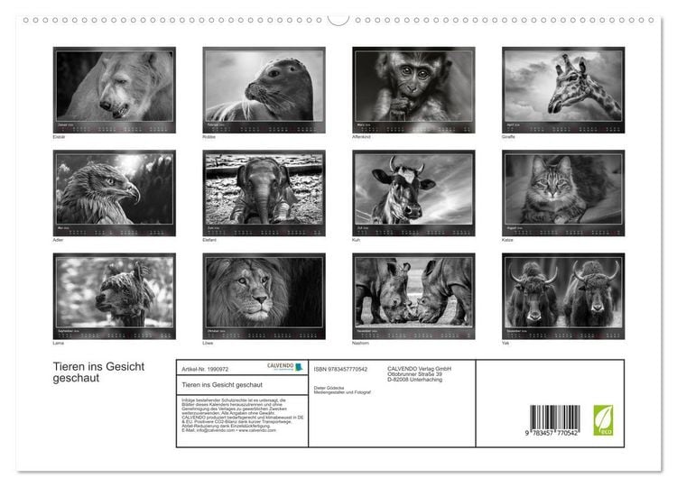 Produktbild: Tieren ins Gesicht geschaut (hochwertiger Premium Wandkalender 2026 DIN A2 quer), Kunstdruck in Hochglanz